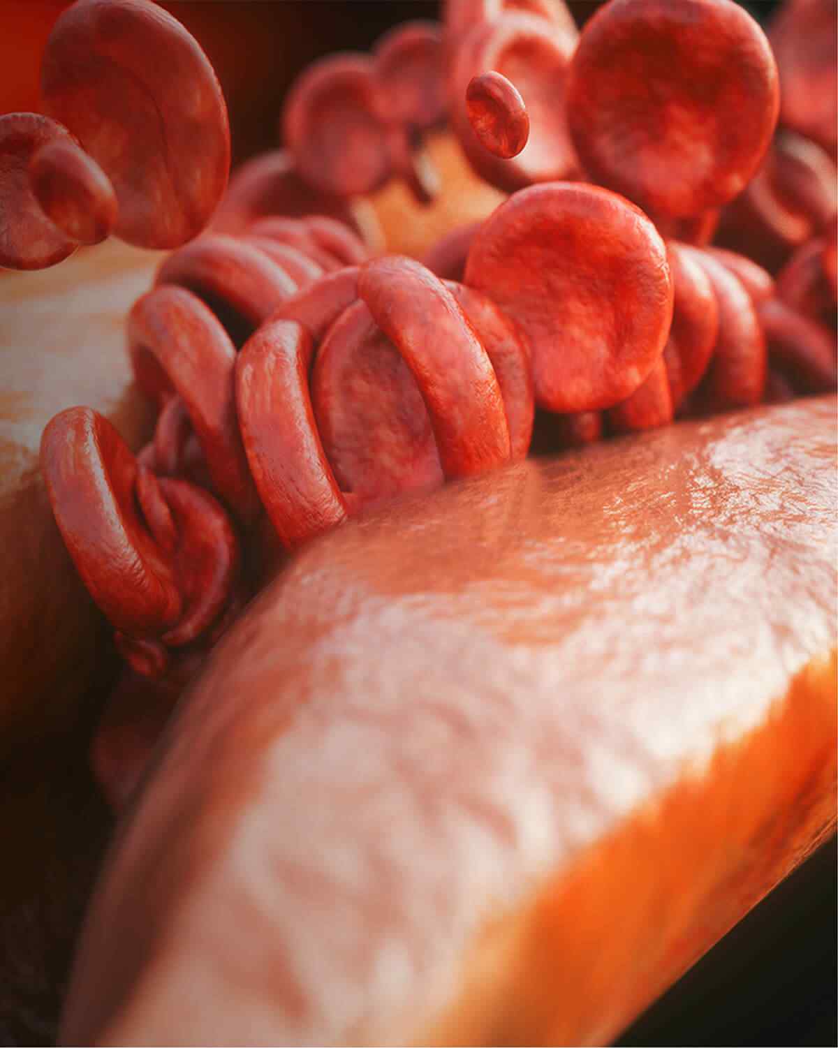 https://pieroperrone.com/wp-content/uploads/2021/08/interactive_image_right.jpg